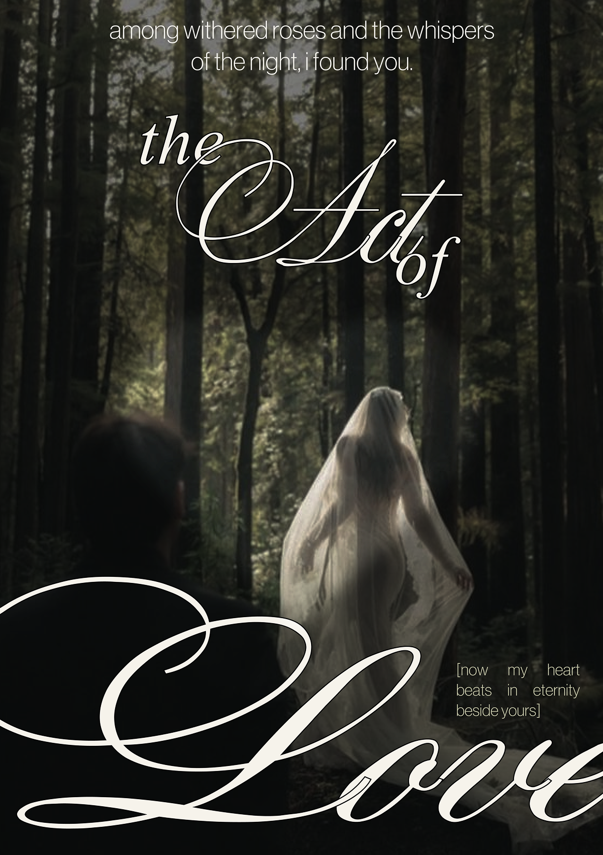 Постер The Act of Love